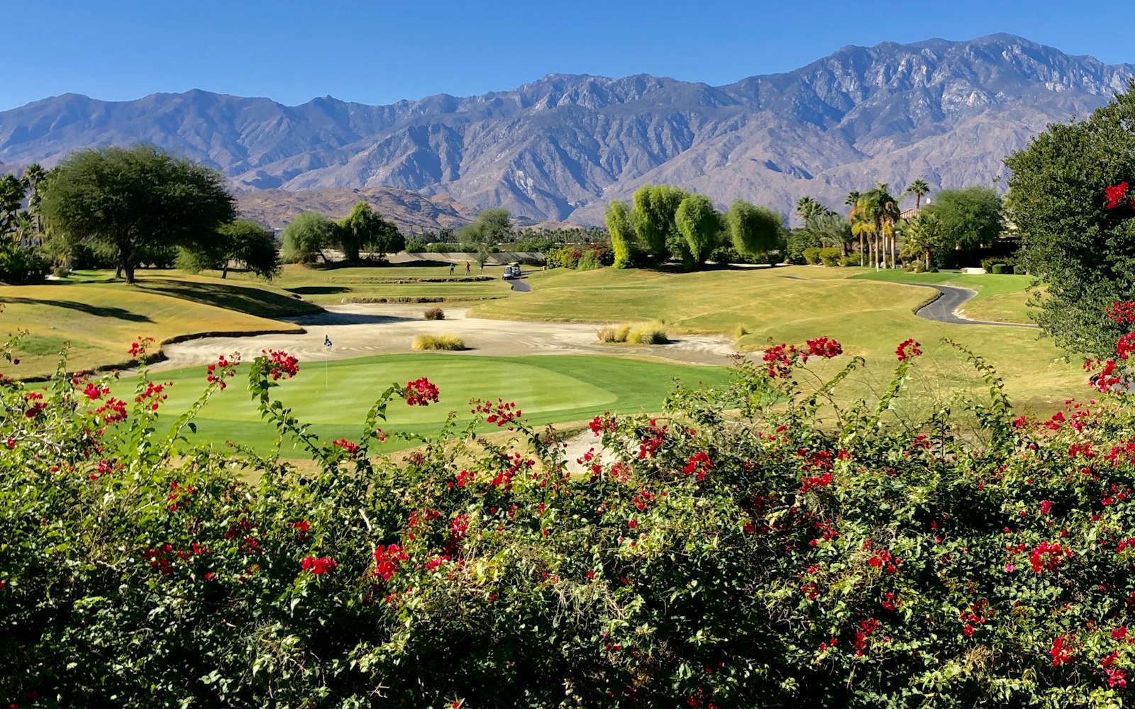 Manicured desert golf course with mountains behind